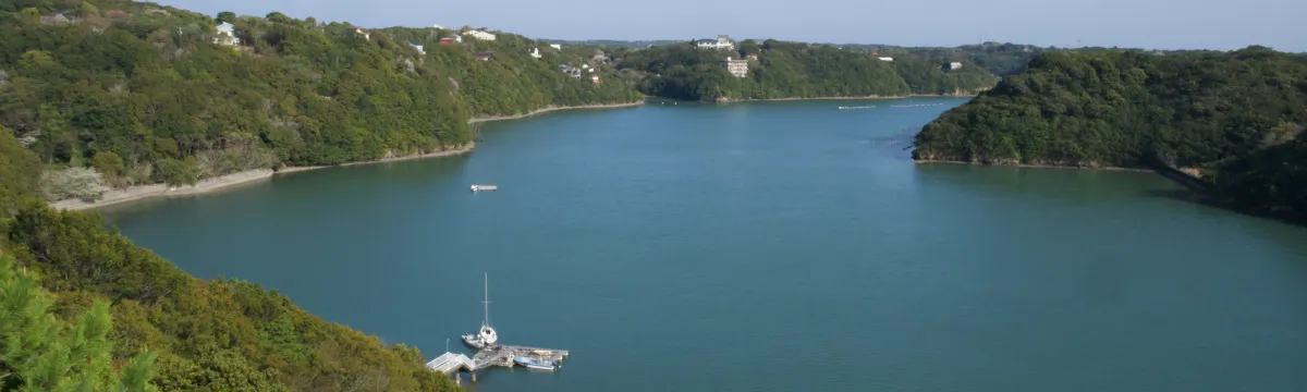 的矢湾
